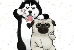 吃瓜狗头君拜年视频,萌态可掬贺岁祝福