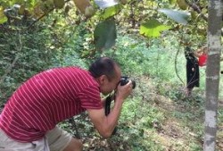 农村吃瓜阿姨视频,揭秘乡村生活趣味瞬间