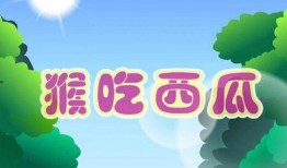 诵读猴子吃瓜视频,趣味横生的自然瞬间