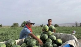 邯郸地区吃瓜事件视频