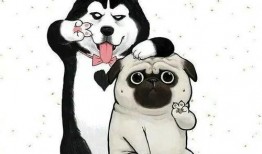 吃瓜狗头君拜年视频,萌态可掬贺岁祝福