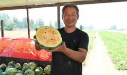 宿迁最新吃瓜事件视频,视频揭秘惊人真相