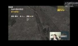 胖大瓜早期吃鸡视频大全