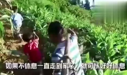 彩英吃瓜视频,揭秘娱乐圈幕后故事