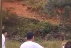 新娘吃瓜视频伴郎,婚礼现场笑料百出