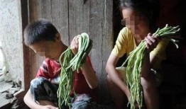 江西姐弟网红吃瓜视频,揭秘网络红人背后的故事