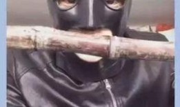 吃货蝙蝠侠吃瓜视频下载