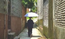 龙洞步行街吃瓜事件视频,一视频引发全民热议