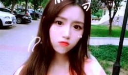 吃瓜少女刘女士视频播放