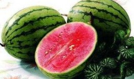 吃瓜标准动作视频,一招一式教你成为瓜界高手