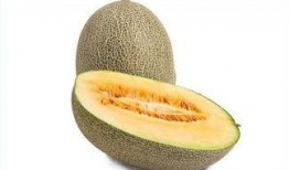 怎样吃哈密瓜最好吃视频,揭秘最佳食用方法