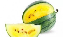 瓢瓜怎么吃啊好吃视频讲解,视频详解，轻松学会家常好味