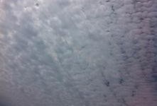 庞各庄吃瓜视频,揭秘乡村夏日生活趣味瞬间