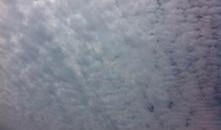 庞各庄吃瓜视频,揭秘乡村夏日生活趣味瞬间