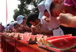 吃瓜视频团队活动,一场别开生面的视频盛宴