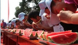 吃瓜视频团队活动,一场别开生面的视频盛宴