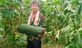 火爆的吃瓜视频,火爆视频揭秘娱乐圈幕后真相