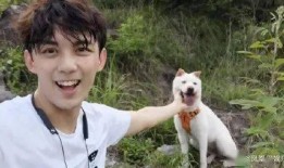 小北吃瓜视频大全,揭秘娱乐圈幕后故事