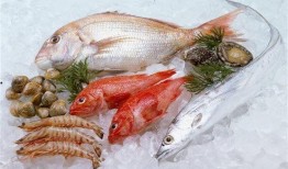 折耳鱼不呼吸吃瓜视频,不呼吸也能吃瓜的神奇生物