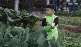 群众吃野瓜视频真实事件