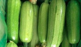 西葫芦瓜能煎着吃吗视频,美味煎瓜教程