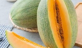 靓仔吃蜜瓜视频大全