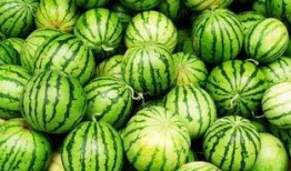 这几天吃瓜的感悟视频,揭秘娱乐圈幕后真相与人性百态