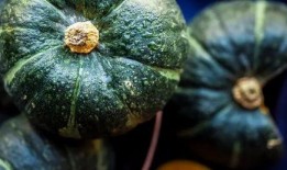 真实缅北吃瓜图片视频