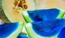 边吃瓜边做手工好吗视频,享受悠闲生活时光