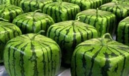 盘点中国人吃瓜视频大全