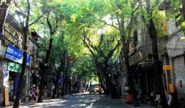 下庙七巷吃瓜事件视频,一场引发热议的网络狂欢