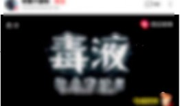 吃瓜视频的群wx,一场全民参与的娱乐盛宴