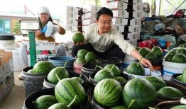 金乡县吃瓜视频真实记录,一场真实记录的乡村盛宴