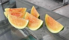 到农村吃瓜视频,探寻农村吃瓜的独特魅力