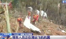 临安吃瓜事件视频曝光最新,一场引发网友热议的街头冲突