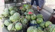 桓台吃瓜事件视频最新,一场引发热议的网络风波深度解析