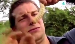 老头伸舌吃瓜视频