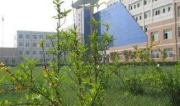 徐水综合高中吃瓜视频,揭秘校园生活幕后真相