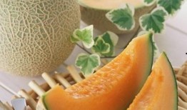 大鹅吃哈密瓜视频教程完整版,趣味教程，轻松学会养鹅与种植哈密瓜