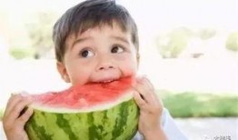 吃瓜狗头君拜年视频,萌态可掬贺岁祝福