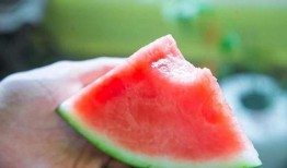 最开心的吃瓜视频,盘点最开心的吃瓜视频瞬间