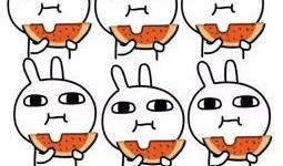 带你吃瓜关于冷的视频,带你领略冰凉美食的诱惑之旅