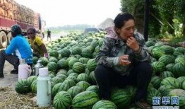 金乡县吃瓜视频真实记录,一场真实记录的乡村盛宴