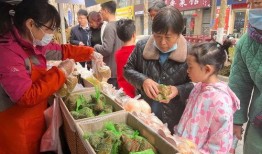 吃瓜视频团队活动,一场别开生面的视频盛宴