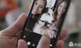 猫狗吃瓜视频大全,趣味视频大全集锦