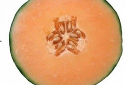 喂宝宝吃哈密瓜的视频教程,轻松制作宝宝美味辅食教程