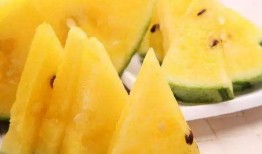 晒瓜丝怎么吃最好吃视频,视频揭秘最佳晒瓜丝吃法