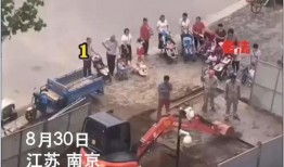 挖机带你吃瓜搞笑视频,一场别开生面的欢乐盛宴