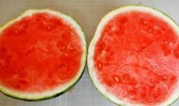 吃瓜视频被骗5块怎么办,教你如何应对网络诈骗