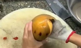 吃瓜螺的视频,一场味蕾与视觉的盛宴